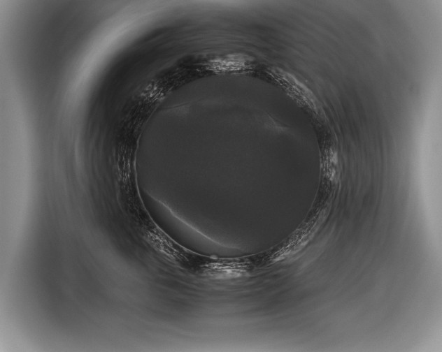 X0000116440763200912151240