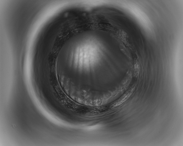 X0000116440765200912151240