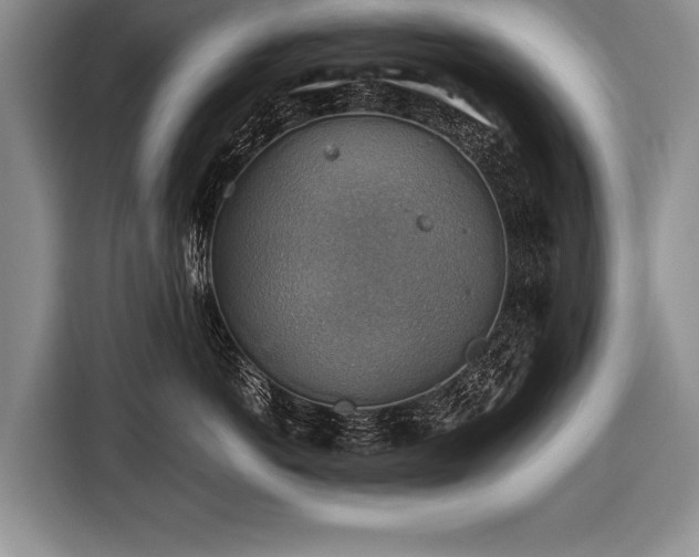 X0000116440766200912151240