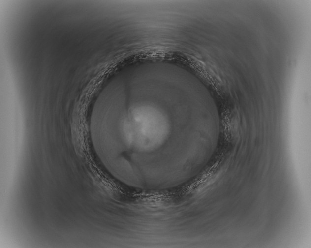 X0000116440769200912151239