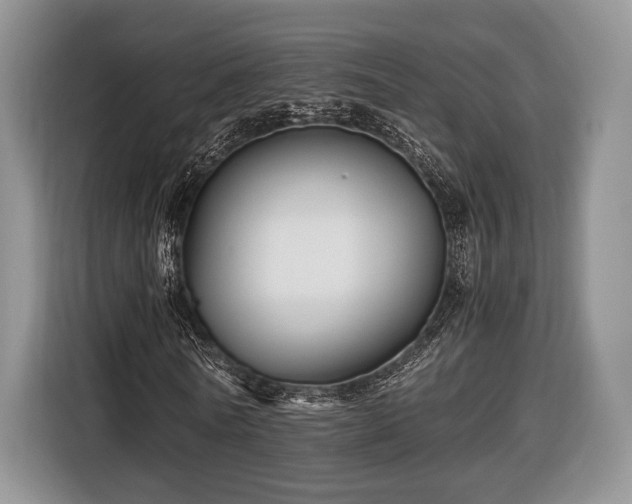 X0000116440770200912151239