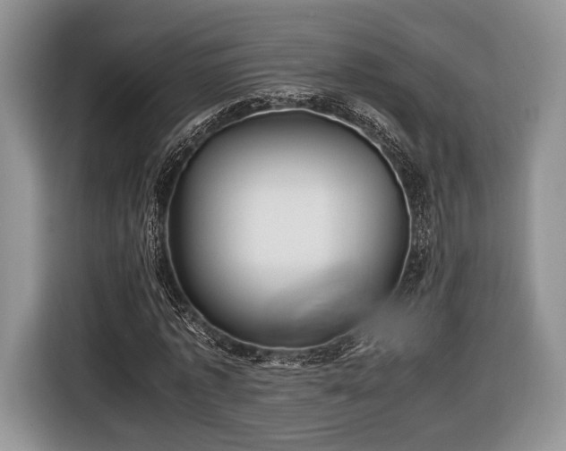 X0000116440773200912151239