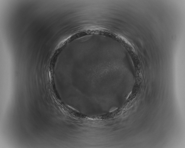 X0000116440775200912151239