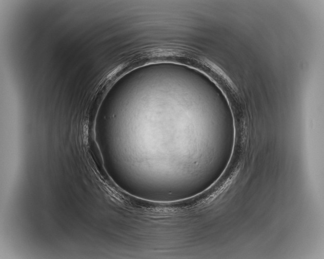 X0000116440777200912151239
