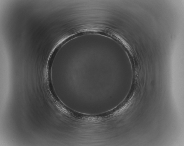 X0000116440779200912151239