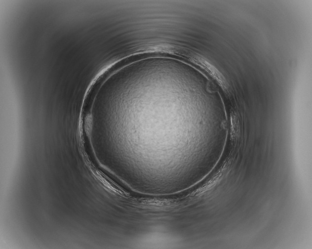 X0000116440780200912151239