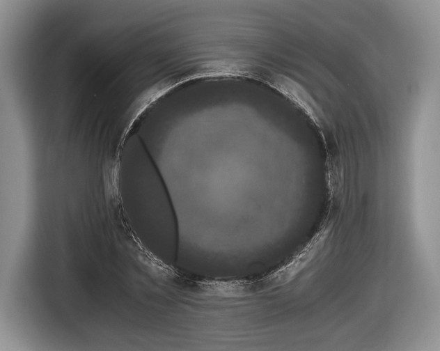 X0000116440781200912151239