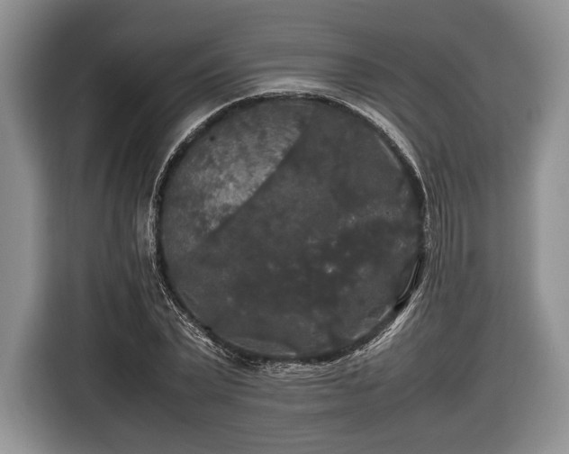 X0000116440783200912151239