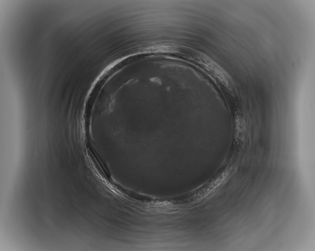 X0000116440784200912151239