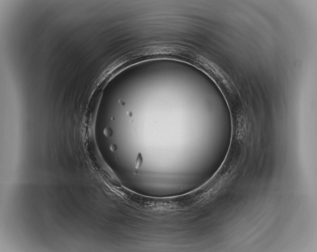 X0000116440786200912151239