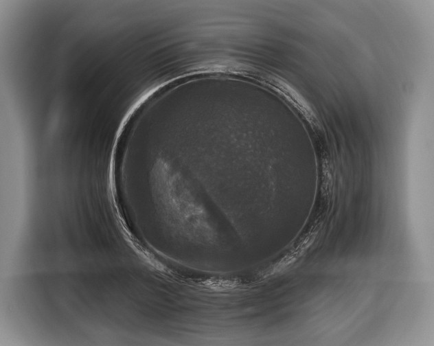 X0000116440788200912151239