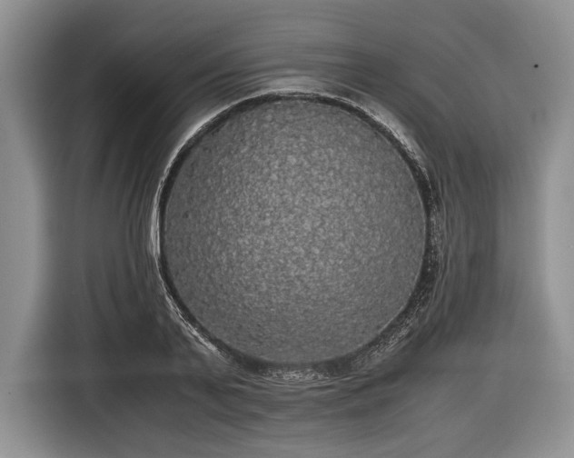X0000116440791200912151239