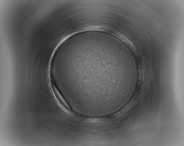 X0000116440792200912151239