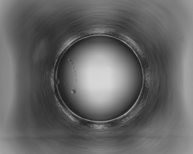 X0000116440794200912151239