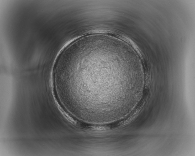 X0000116440795200912151239