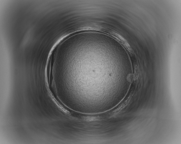 X0000116440796200912151239