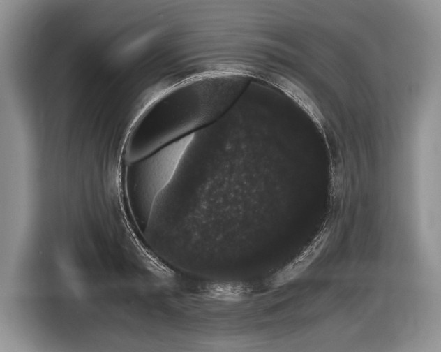 X0000116440797200912151239