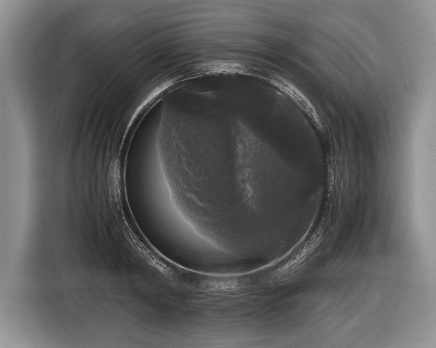 X0000116440798200912151239