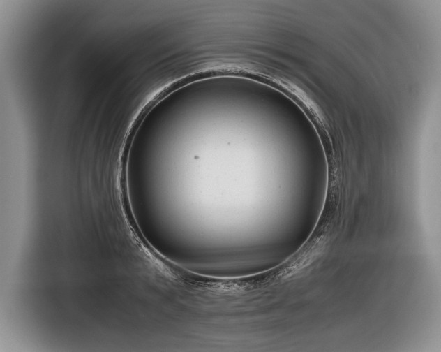 X0000116440799200912151239