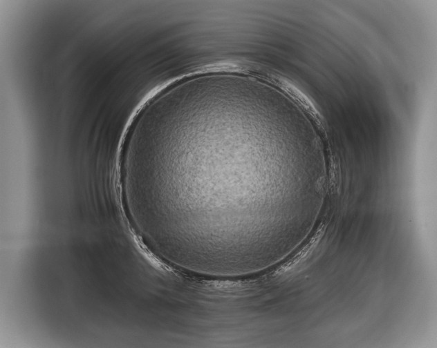 X0000116440800200912151239