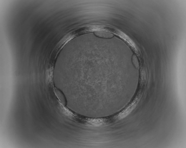 X0000116440801200912151239