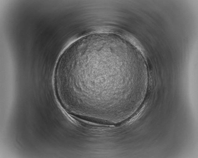 X0000116440803200912151239