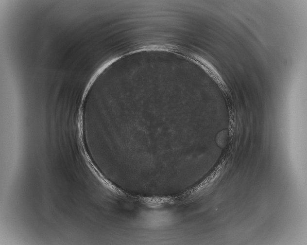 X0000116440804200912151239