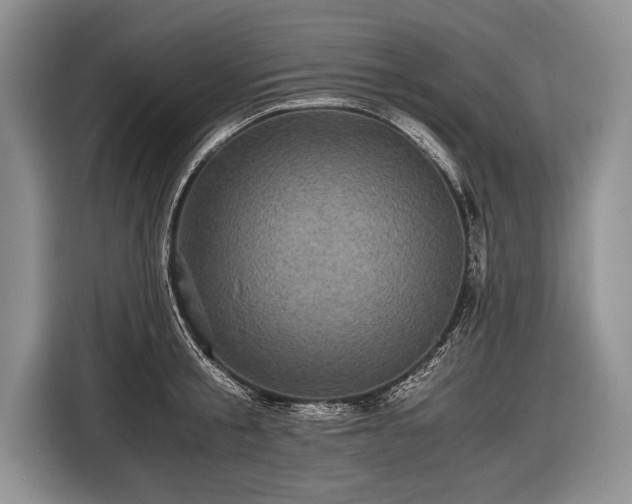 X0000116440805200912151239