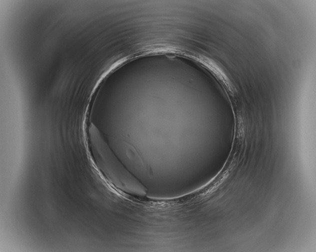 X0000116440806200912151239