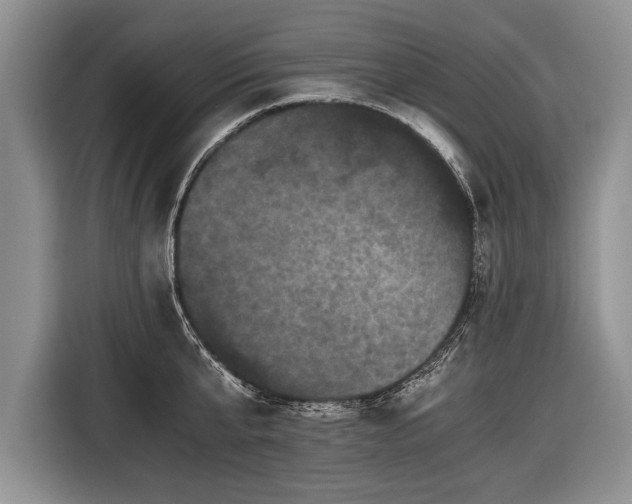 X0000116440807200912151239