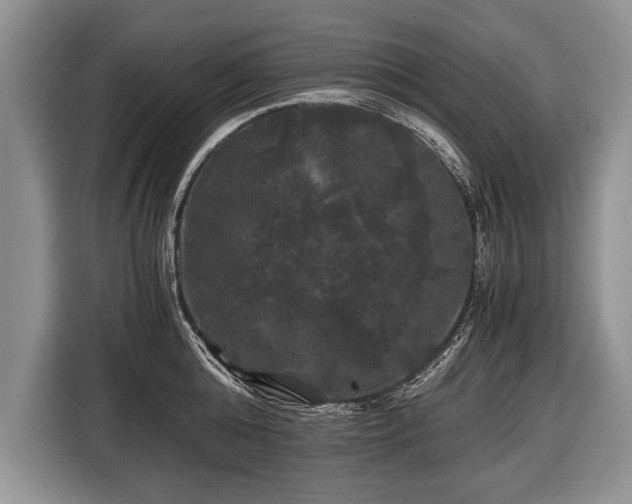 X0000116440808200912151239