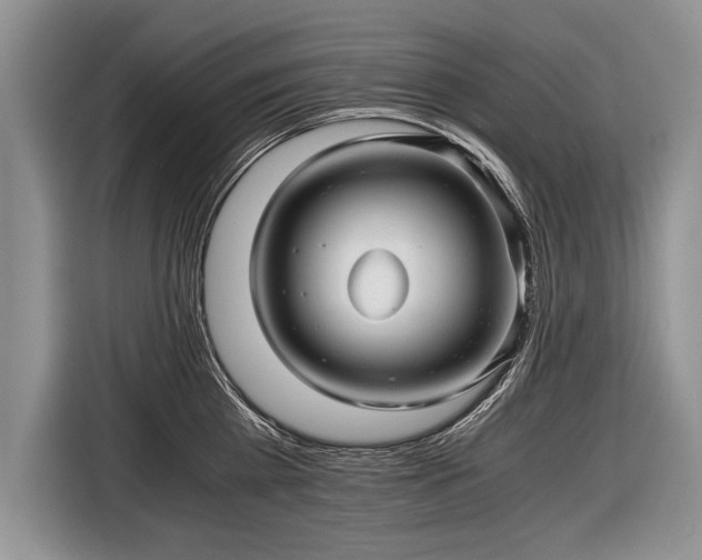 X0000116440809200912151239