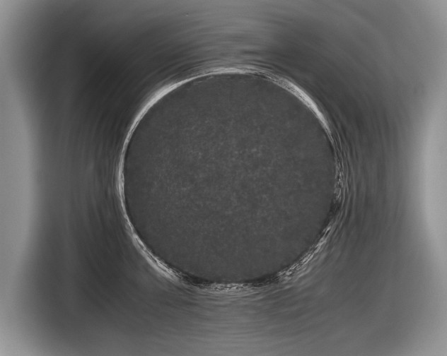 X0000116440811200912151239