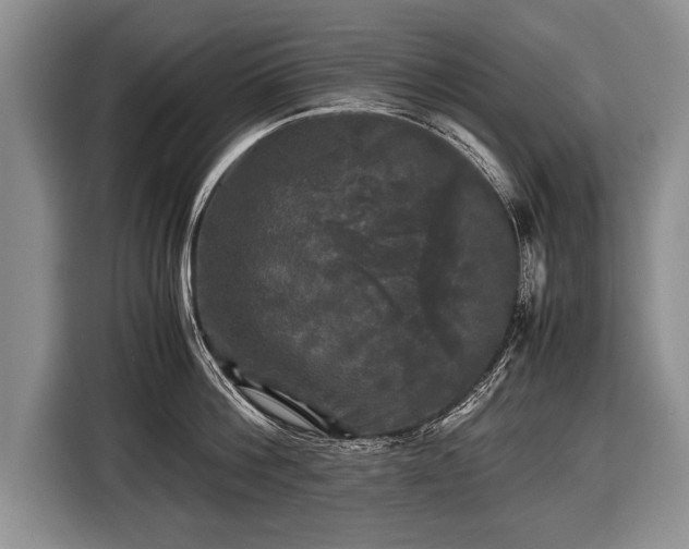 X0000116440812200912151239