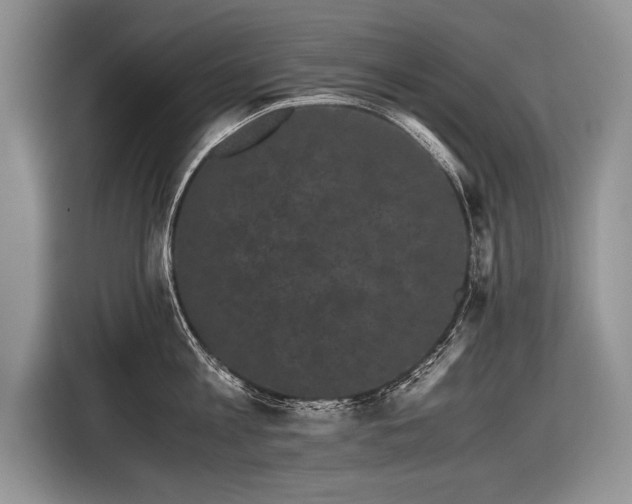 X0000116440813200912151239
