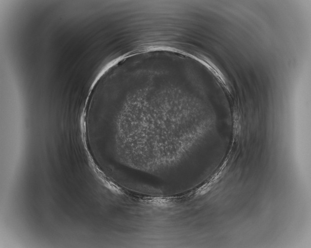 X0000116440814200912151239