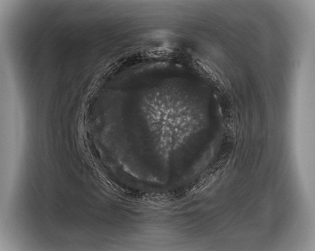 X0000116440817200912151238