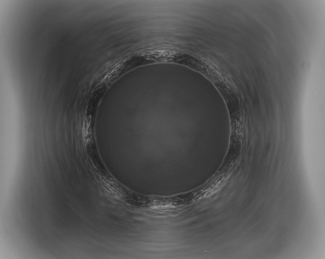 X0000116440818200912151238