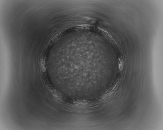 X0000116440819200912151238