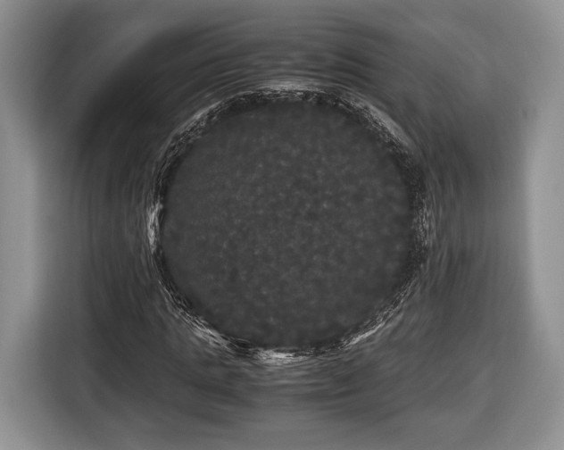 X0000116440821200912151238