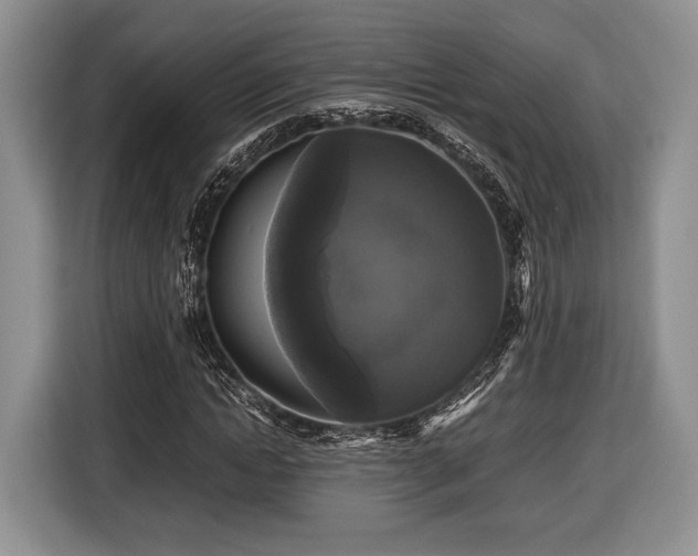 X0000116440822200912151238