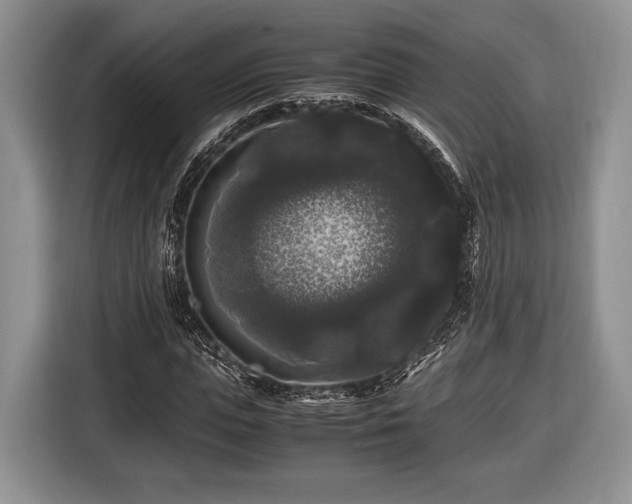 X0000116440823200912151238