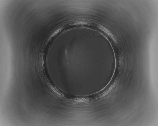 X0000116440826200912151238