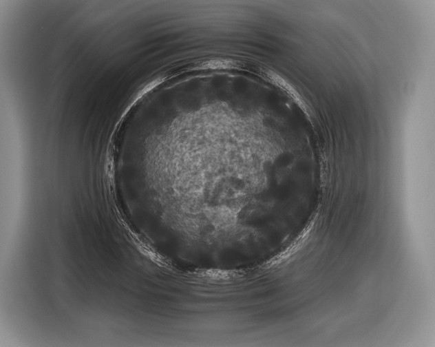 X0000116440827200912151238