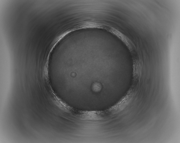 X0000116440828200912151238