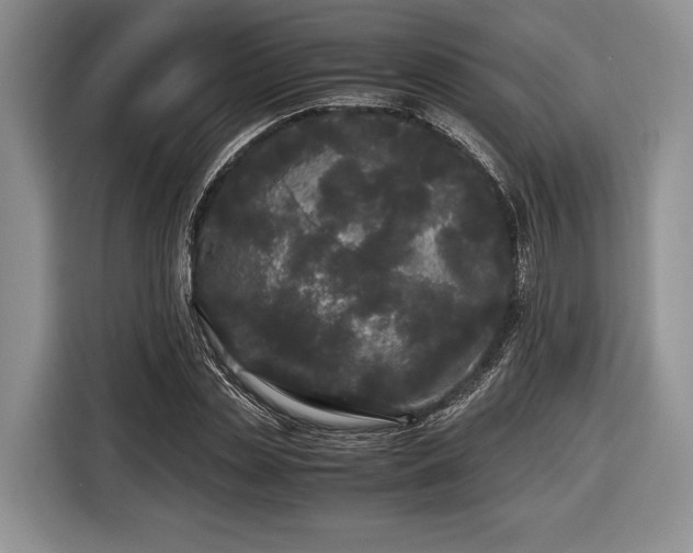 X0000116440829200912151238