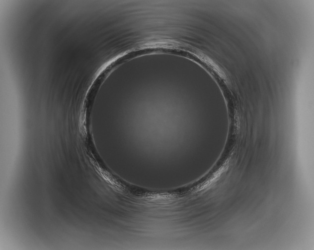 X0000116440830200912151238