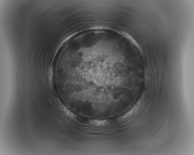 X0000116440831200912151238