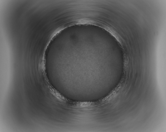 X0000116440832200912151238