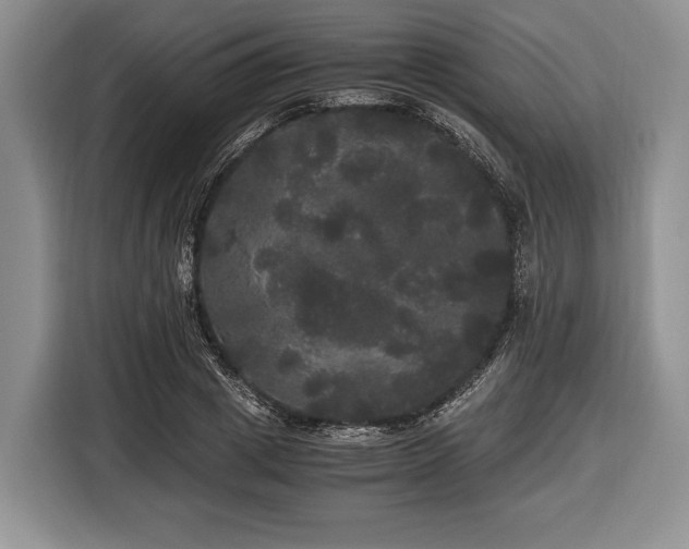 X0000116440833200912151238